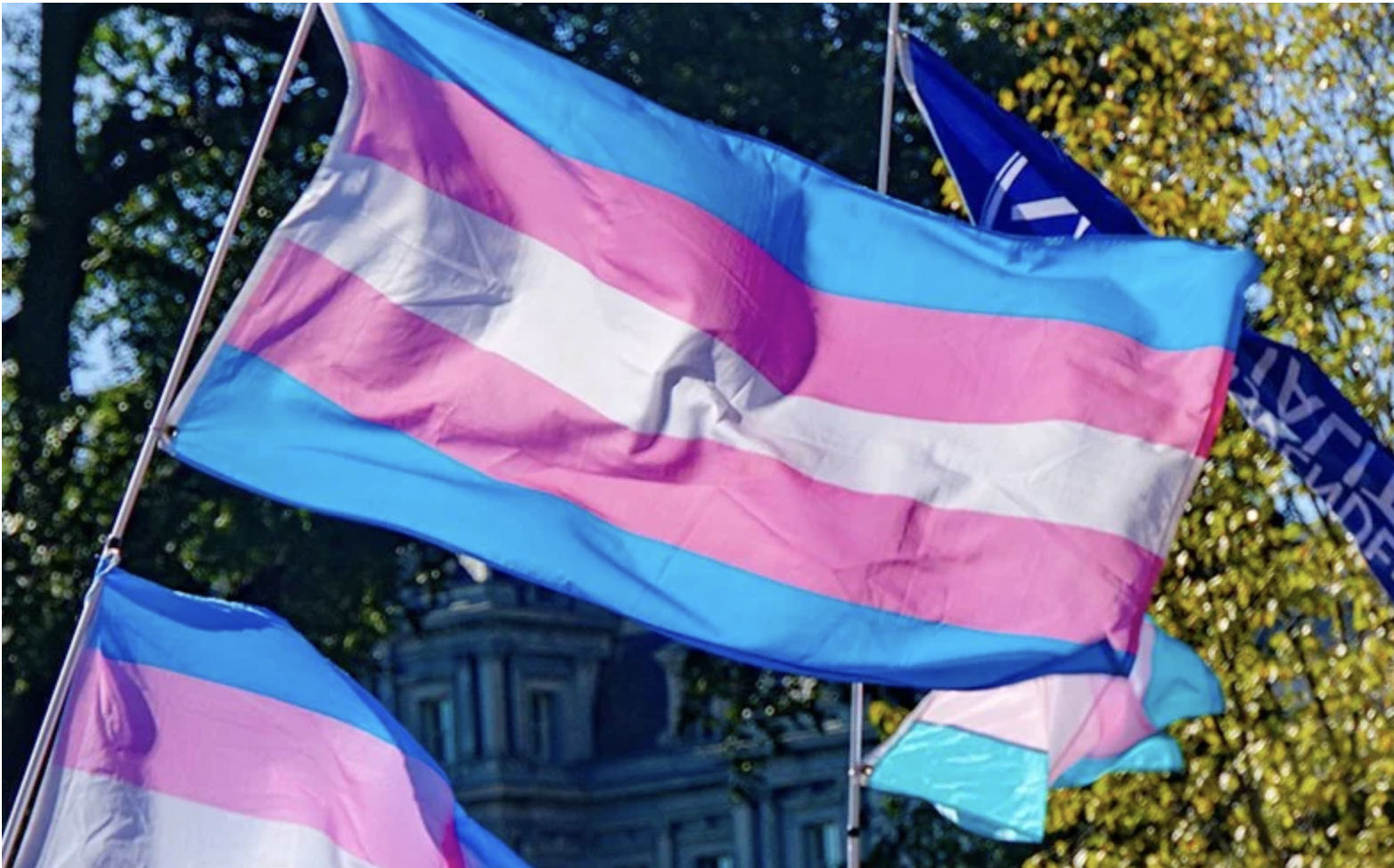 Transgender Women in Women’s Sport: The Debate Over Fairness